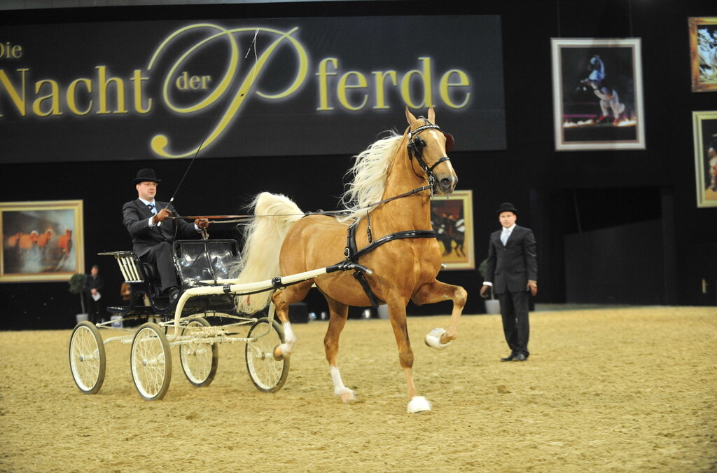 Baden-Badener Pferde glänzten auf der Pferd & Jagd 2010 in Hannover