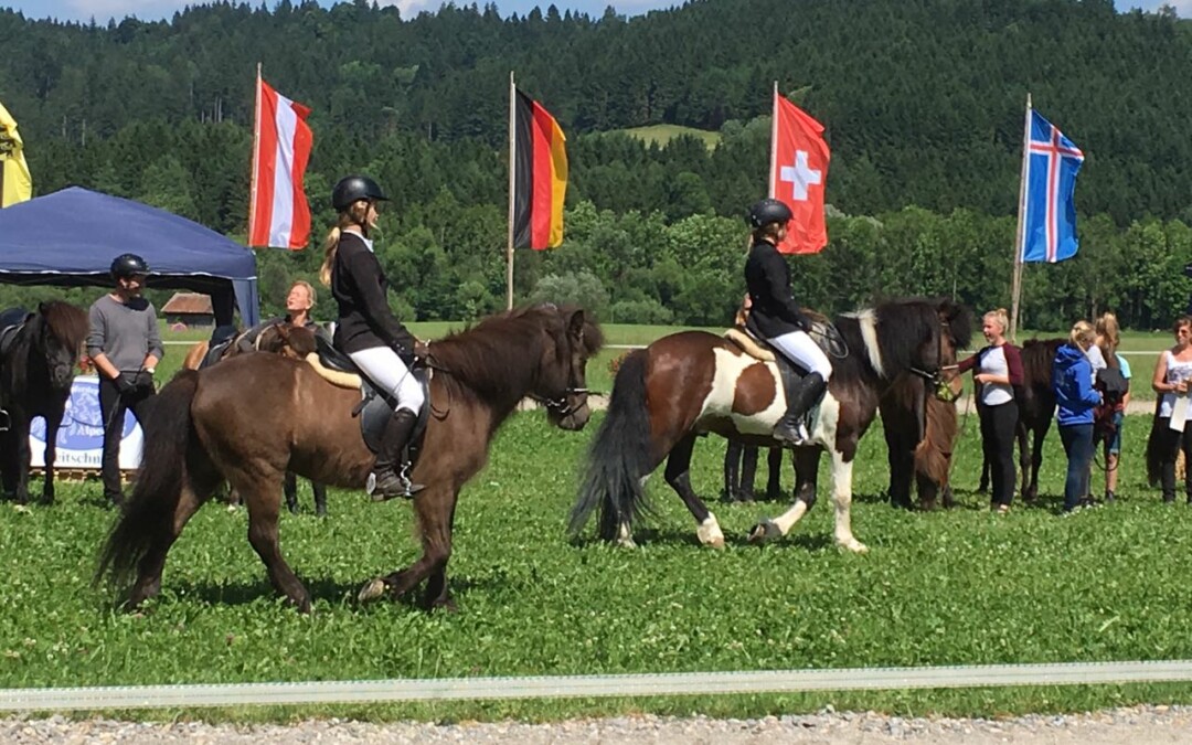 Erfolge auf der Baden-Württembergischen Meisterschaft